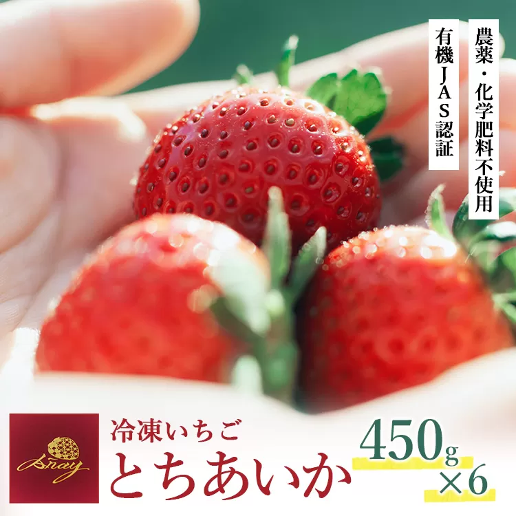 冷凍いちご 450g×6