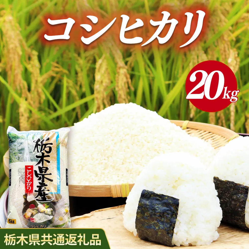 米 コシヒカリ 20kg(5kg×4) 栃木県産【栃木県共通返礼品】