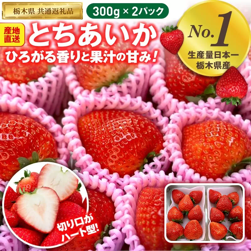 いちご とちあいか 300g×2パック【栃木県共通返礼品】 | いちご イチゴ 苺 とちあいか 生いちご 高級いちご 季節の果物 栃木県産 国産 農家直送 ギフト プレゼント お祝い お返し いちごギフト ※2026年12月〜発送