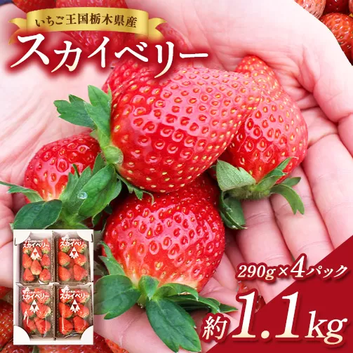 【先行予約】出会いの森いちご園 スカイベリー （290g×4パック） | いちご イチゴ 苺 栃木県 果物 くだもの フルーツ スカイベリー 新鮮 贈答 ギフト デザート スイーツ ※2026年12月～発送