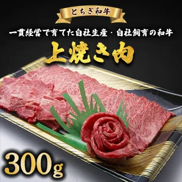 とちぎ和牛 上焼き肉用 300g | 冷凍 牛肉 夕食 焼肉