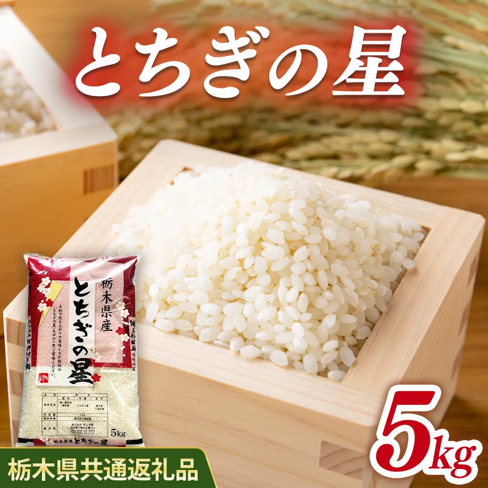 米 とちぎの星 5kg 栃木県産【栃木県共通返礼品】