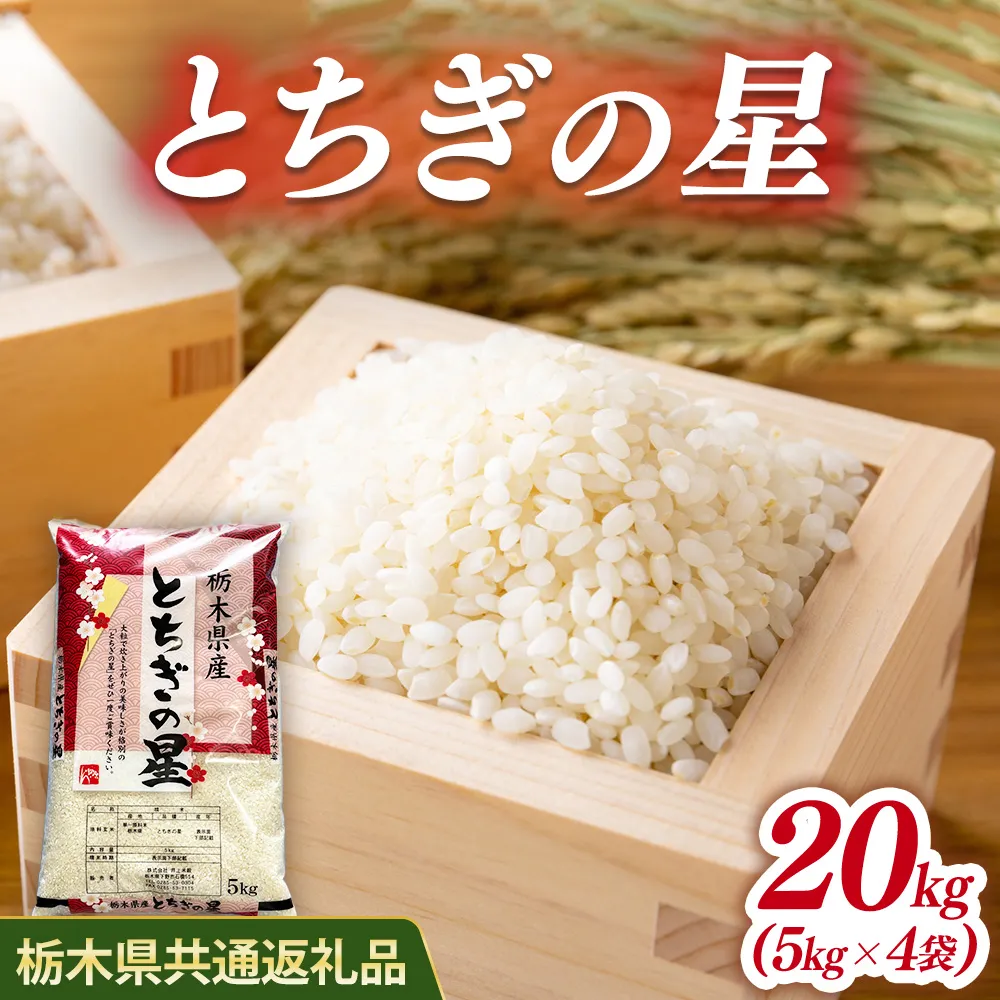 米 とちぎの星 20kg(5kg×4) 栃木県産【栃木県共通返礼品】