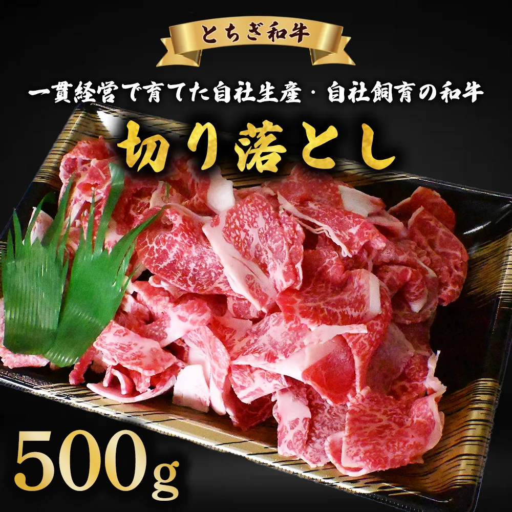 牛肉 切り落とし とちぎ和牛 500g | 冷凍 牛肉 夕食