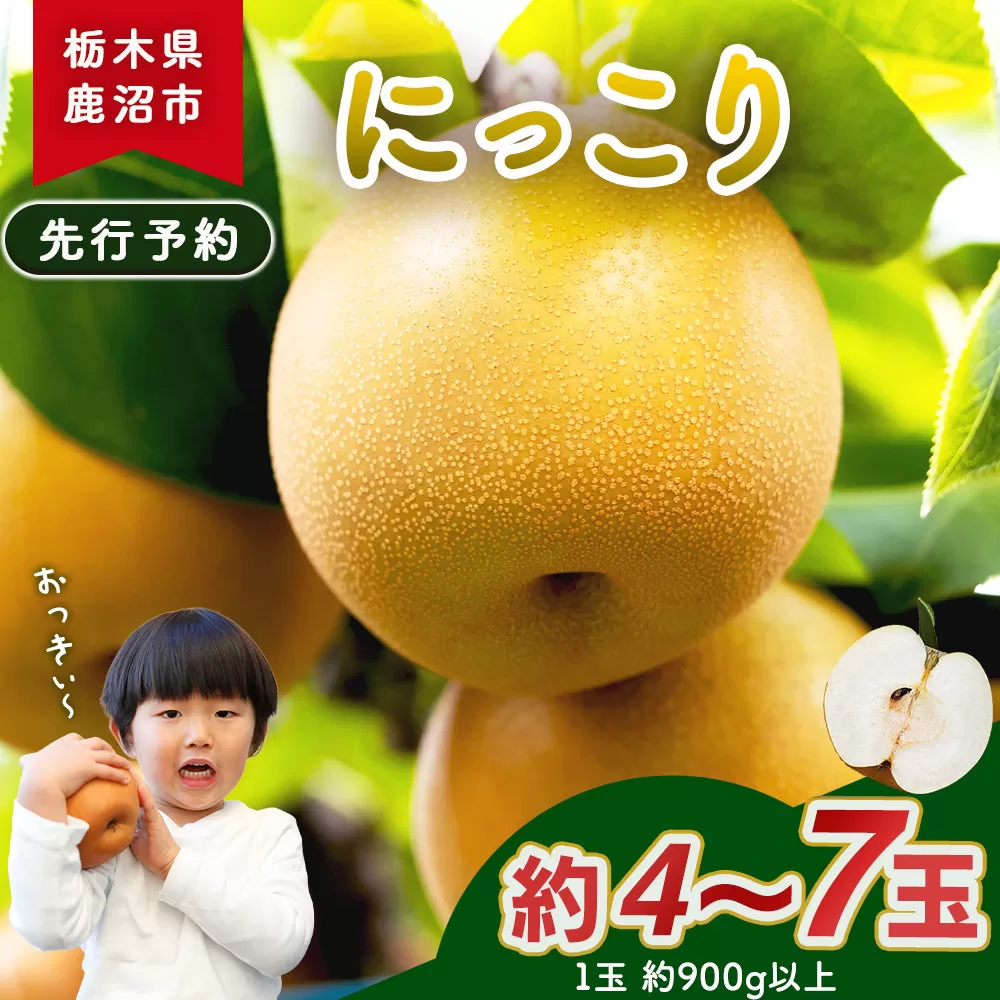 【先行予約】梨(にっこり) 4玉〜7玉入り×1箱 (4.5kg以上) ※2026年10月上旬〜11月下旬頃に順次発送予定