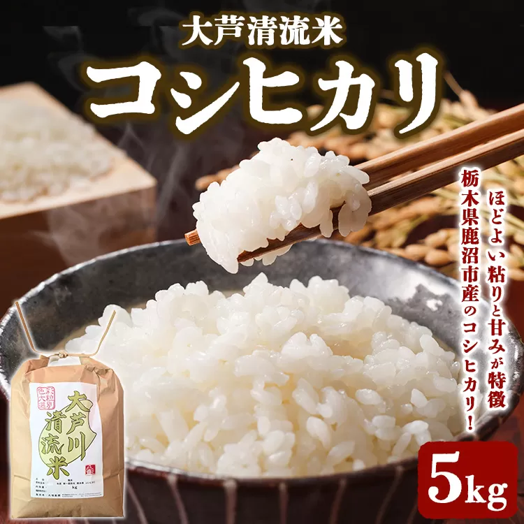 大芦清流米 コシヒカリ 5kg ｜ 米 お米 おこめ 精米 5キロ ご飯 ごはん 栃木県 鹿沼市 ※離島への配送不可