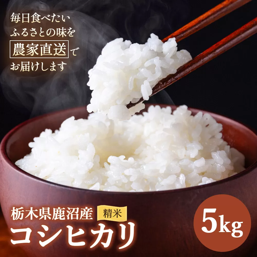 令和7年度産 コシヒカリ 精米 5kg | 白米 米 お米 こしひかり 農家直送 栃木 鹿沼市
