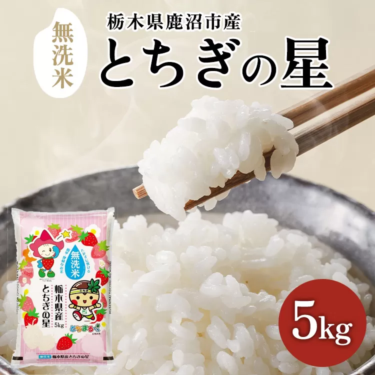 【数量限定】栃木県鹿沼市産 とちぎの星 無洗米 5kg 令和7年産 | 水稲うるち精米 単一原料米 お米 特A 大粒 甘さ ※沖縄・離島への配送不可