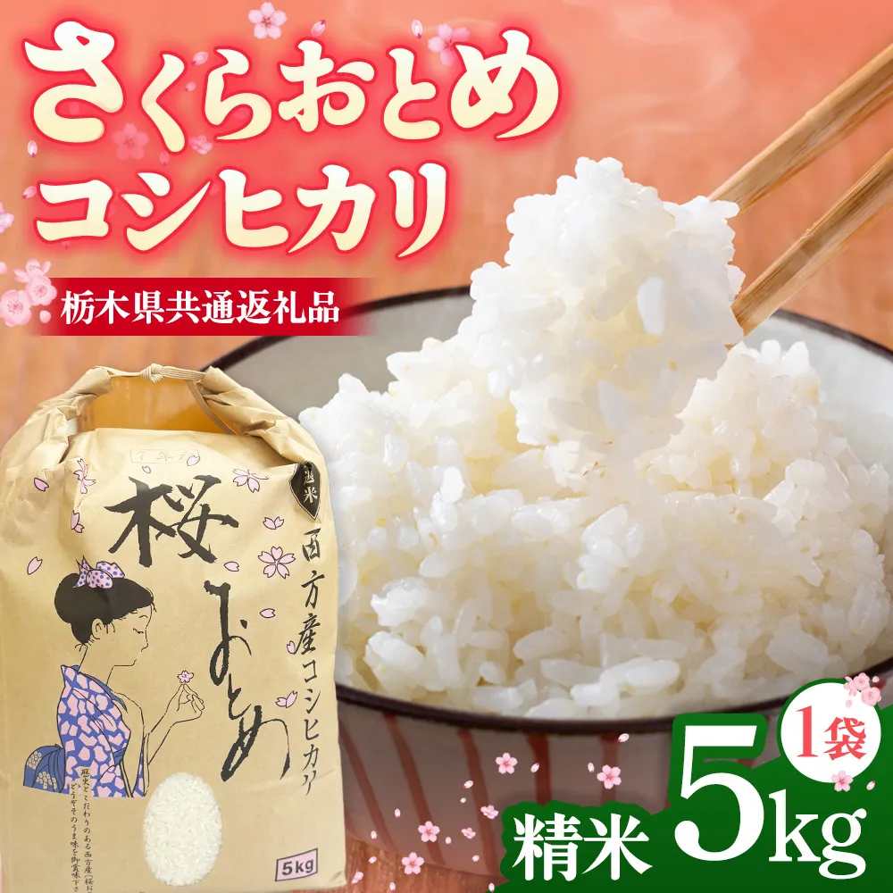 さくらおとめ コシヒカリ（5kg×1袋） 【栃木県共通返礼品】 | 米 お米 おこめ 精米 5キロ こしひかり ご飯 ごはん 栃木県 鹿沼市