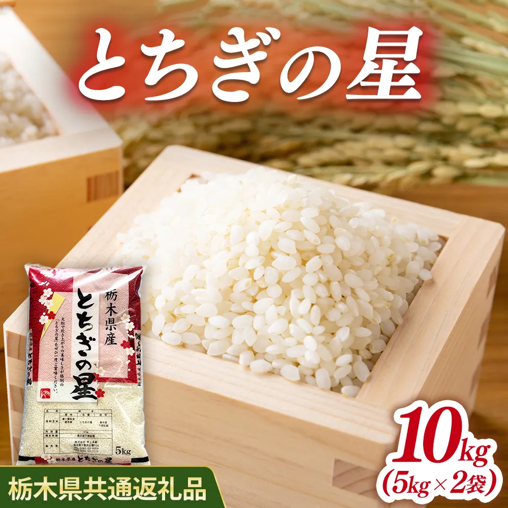 米 とちぎの星 10kg(5kg×2) 栃木県産【栃木県共通返礼品】