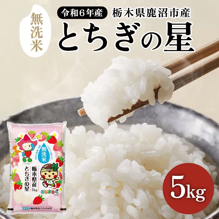 【数量限定】栃木県鹿沼市産 とちぎの星 無洗米 5kg 令和6年産 水稲うるち精米 単一原料米 お米 特A 大粒 甘さ ※沖縄・離島への配送不可 ※2024年10月上旬～2025年7月下旬頃に順次発送予定