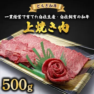 とちぎ和牛 上焼き肉用 500g | 冷凍 牛肉 夕食 焼肉