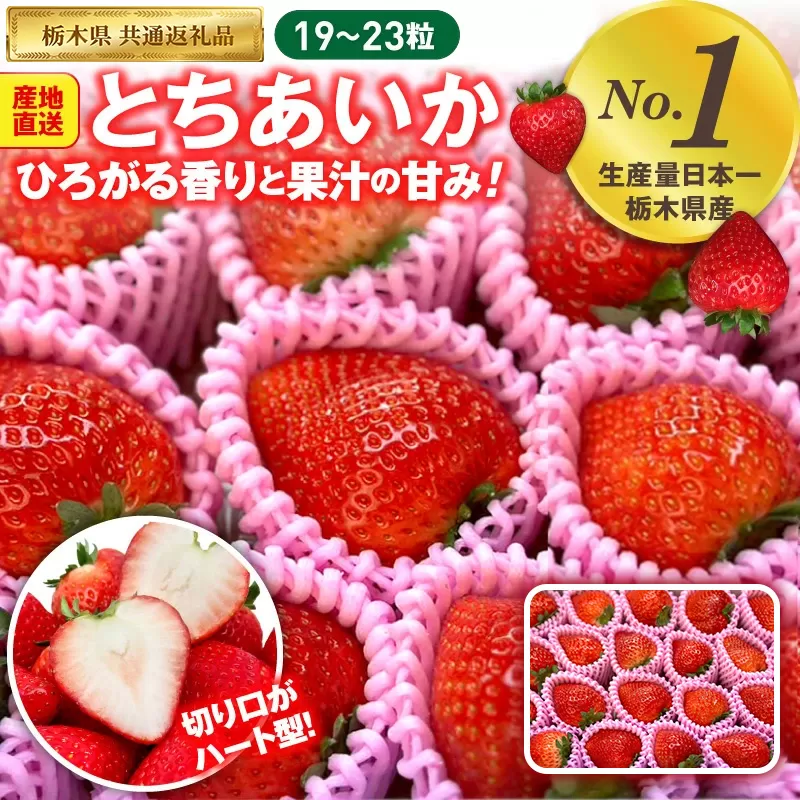 いちご とちあいか 19粒〜23粒入【栃木県共通返礼品】 | いちご イチゴ 苺 とちあいか 生いちご 高級いちご 季節の果物 栃木県産 国産 農家直送 ギフト プレゼント お祝い お返し いちごギフト ※2026年12月〜発送