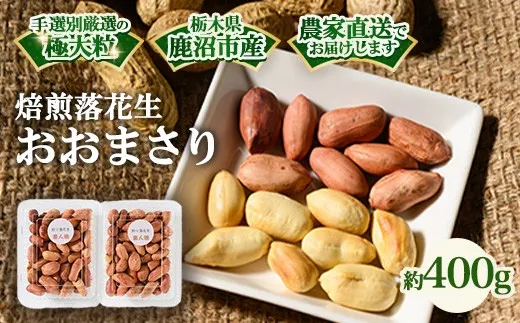 焙煎落花生 おおまさり 約400g | らっかせい ピーナッツ おつまみ 鹿沼市 農家直送 ※2026年11月~発送