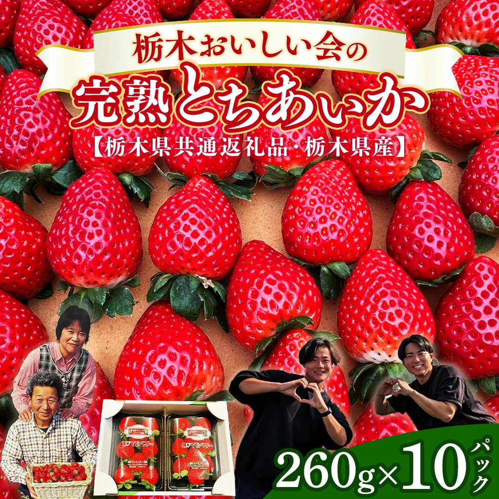 栃木おいしい会のいちご（とちあいか）260g×10パック（2600g）｜栃木県共通返礼品 栃木県産 ※2027年1月～発送