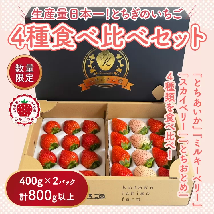 大満足4種食べ比べセット（とちおとめ、ミルキーベリー、とちあいか、スカイベリー）400g×2パック 800g｜先行予約 数量限定 栃木県 果物 くだもの フルーツ 苺 イチゴ ※2027年1月～発送