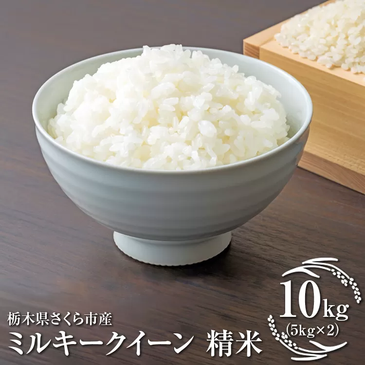 令和7年度　栃木県さくら市産ミルキークイーン　精米10kg（5kg×2）｜米　白米　コメ　こめ　菜っ葉館※2025年11月上旬頃から順次発送予定