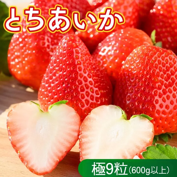 いちご（とちあいか　極）9粒 600g以上｜先行予約 数量限定 栃木県 果物 くだもの フルーツ 苺 イチゴ ※2025年12月上旬〜2026年2月下旬頃に順次発送予定