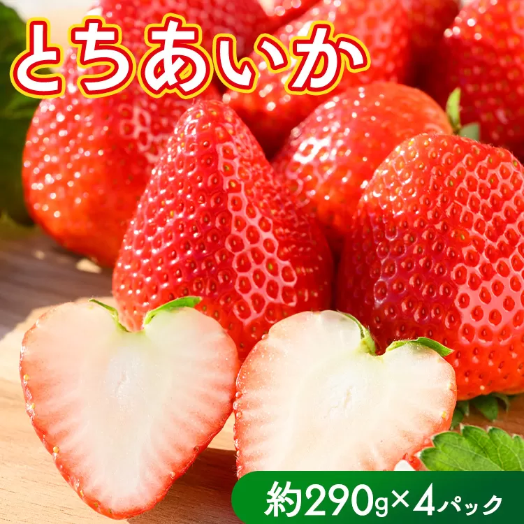 いちご（とちあいか） 290g×4パック 1.16kg以上｜先行予約 数量限定 栃木県 果物 くだもの フルーツ 苺 イチゴ ※2025年11月下旬～2026年3月下旬頃に順次発送予定
