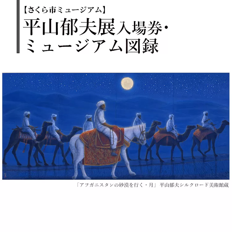 【さくら市ミュージアム】平山郁夫展入場券・ミュージアム図録