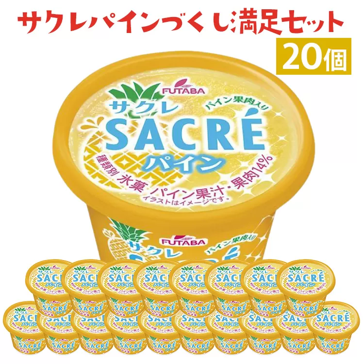 サクレパインづくし満足セット　20個｜アイス かき氷 シャーベット デザート　※着日指定不可　※離島への配送不可