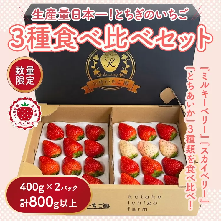 満足3種食べ比べセット（ミルキーベリー、スカイベリー、とちあいか）400g×2パック 800g｜先行予約 数量限定 栃木県 果物 くだもの フルーツ 苺 イチゴ ※2027年1月～発送