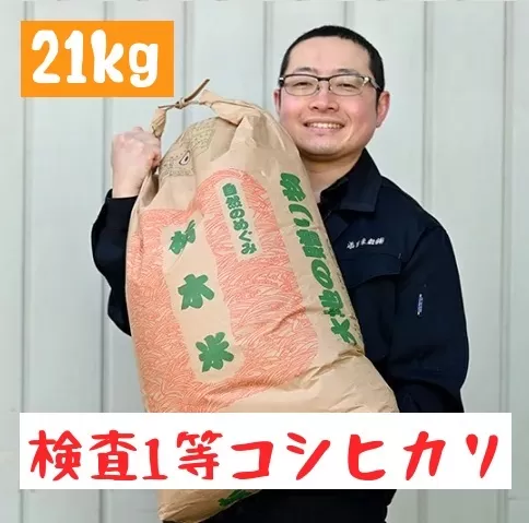 栃木県産 コシヒカリ 白米21kg【検査1等米】 ※離島への配送不可