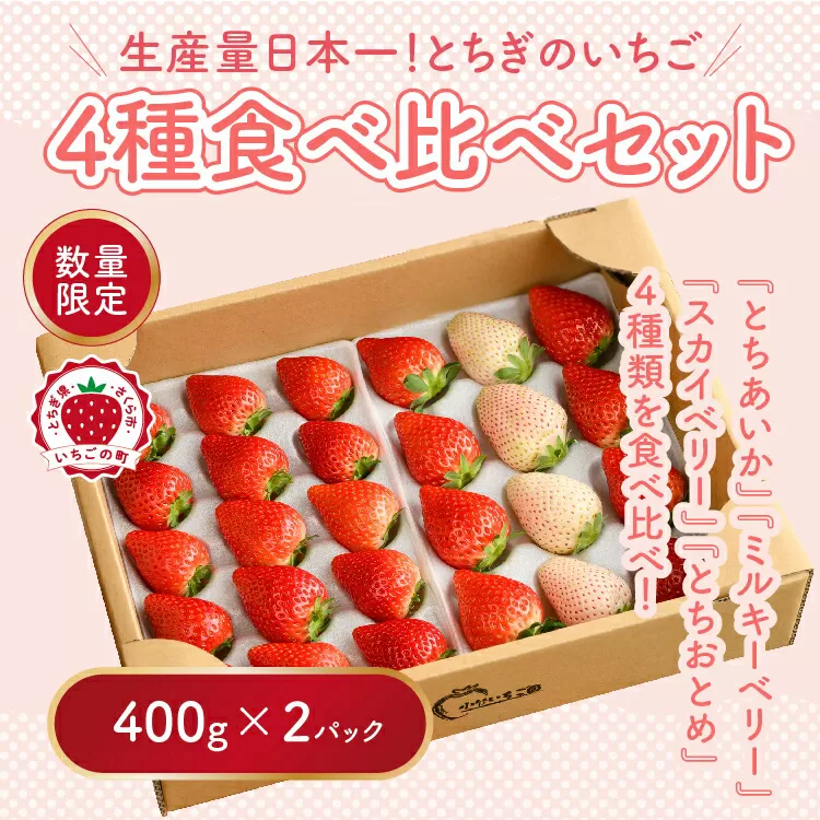 大満足4種食べ比べセット（とちおとめ、ミルキーベリー、とちあいか、スカイベリー）400g×2パック 800g｜先行予約 数量限定 栃木県 果物 くだもの フルーツ 苺 イチゴ ※2025年1月上旬～4月中旬頃に順次発送予定