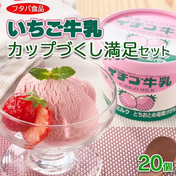 【数量限定】イチゴ牛乳カップづくし満足セット　20個｜アイス デザート ※離島への配送不可