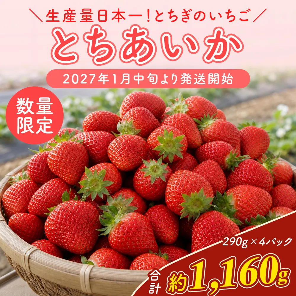 【先行予約】いちご 厳選!さくら市産 とちあいか(290g×4パック) ※2027年1月~発送