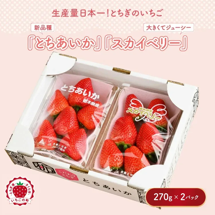 【先行予約】いちご とちあいか・スカイベリーセット 270g×2パック（540g）｜いちご イチゴ 苺 先行予約 栃木県 果物 くだもの フルーツ とちあいか スカイベリー 新鮮 贈答 ギフト 高級 食べ比べ ※2027年1月〜発送