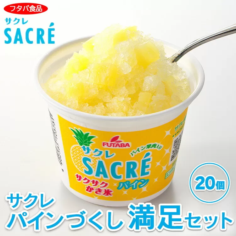 サクレパインづくし満足セット　20個｜アイス かき氷 シャーベット デザート　※着日指定不可　※離島への配送不可