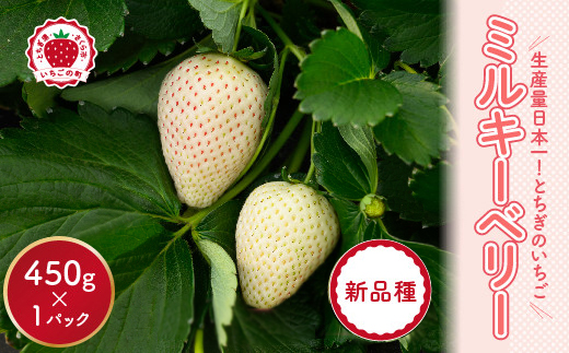 先行予約】いちご ミルキーベリーセット 450g×1パック ※2025年1月中旬  