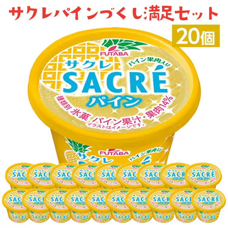 サクレパインづくし満足セット　20個｜アイス かき氷 シャーベット デザート　※着日指定不可　※離島への配送不可