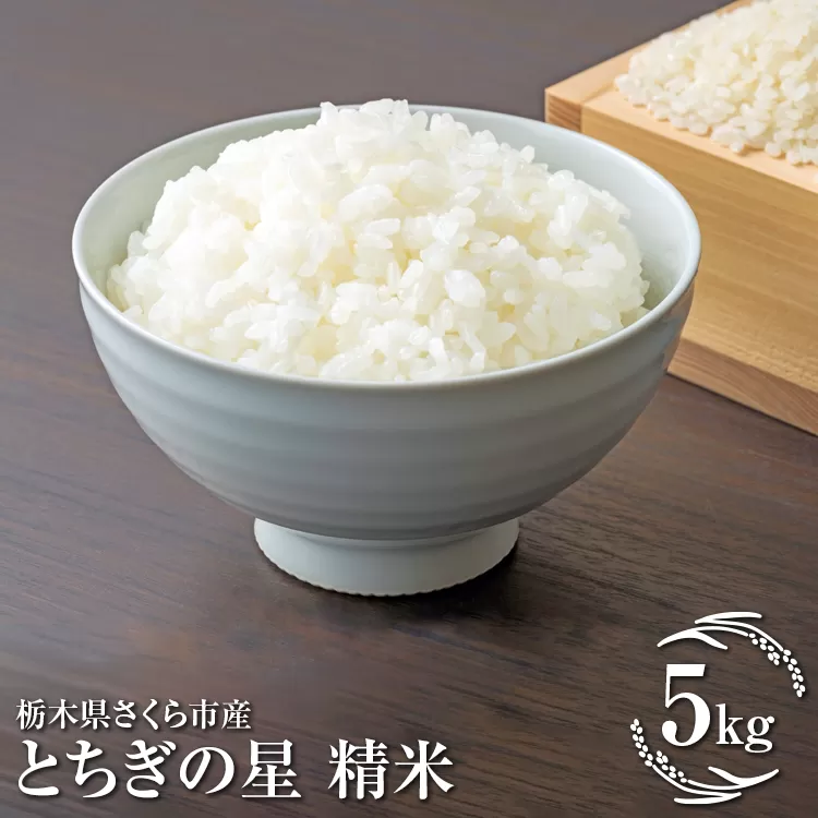 令和7年度　栃木県さくら市産とちぎの星　精米5kg｜米　白米　コメ　こめ　菜っ葉館※2025年11月上旬頃から順次発送予定
