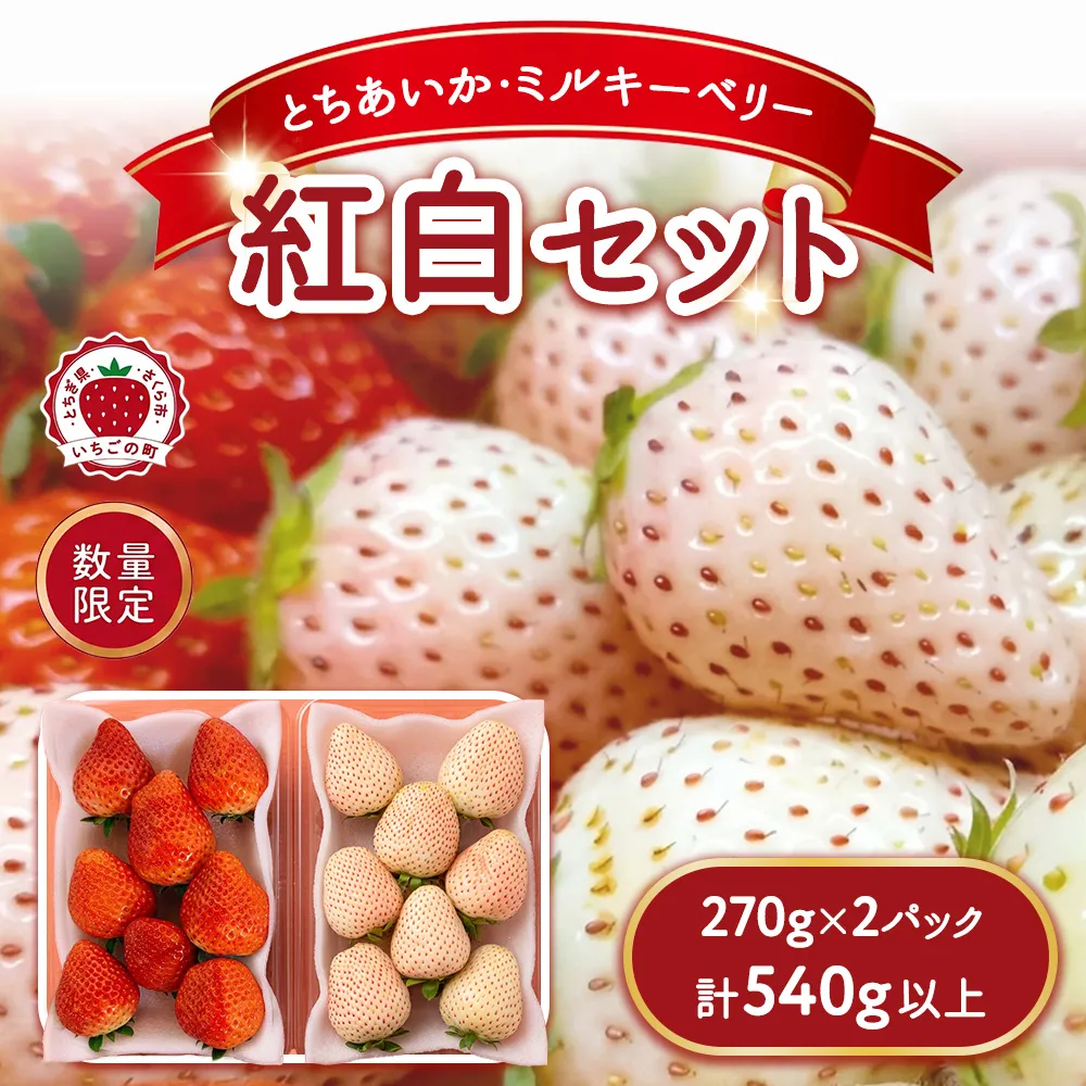 《数量限定》紅白セット(とちあいか・ミルキーベリー) 270g×2パック 540g以上 |いちご イチゴ 苺 先行予約 栃木県 果物 くだもの フルーツ デザート とちあいか ミルキーベリー 新鮮 贈答 ギフト 食べ比べ ※2027年1月~発送