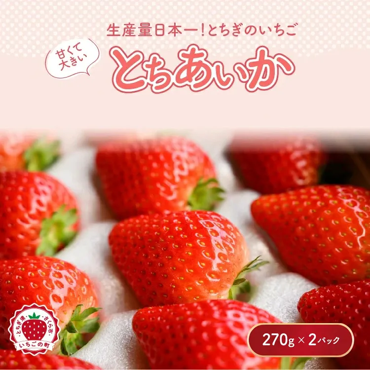 【先行予約】いちご とちあいかセット 270g×2パック（540g）｜いちご イチゴ 苺 先行予約 栃木県 果物 くだもの フルーツ とちあいか 新鮮 贈答 ギフト ※2027年1月〜発送