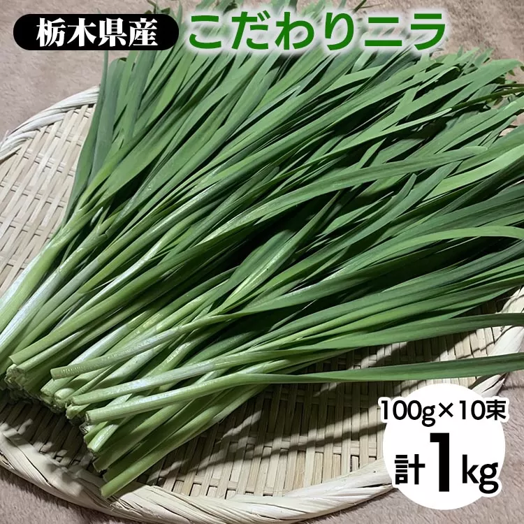 栃木県産こだわりニラ100g×10束 ｜ さくら市 にら 韮 野菜 国産