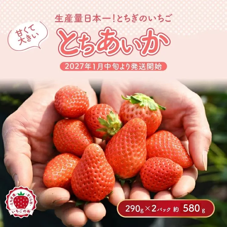 【先行予約】いちご 厳選!さくら市産 とちあいか(290g×2パック) ※2027年1月~発送