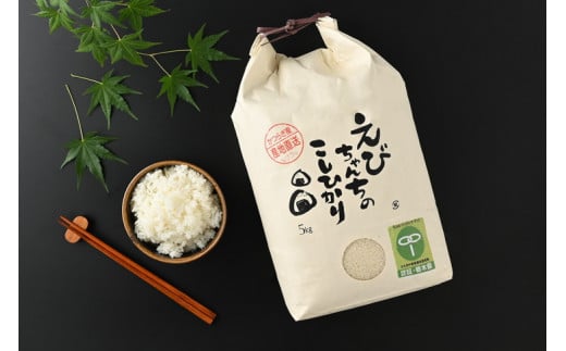 あきたこまち お米 送料無料 お試しあきたこまち 750g (5合) 令