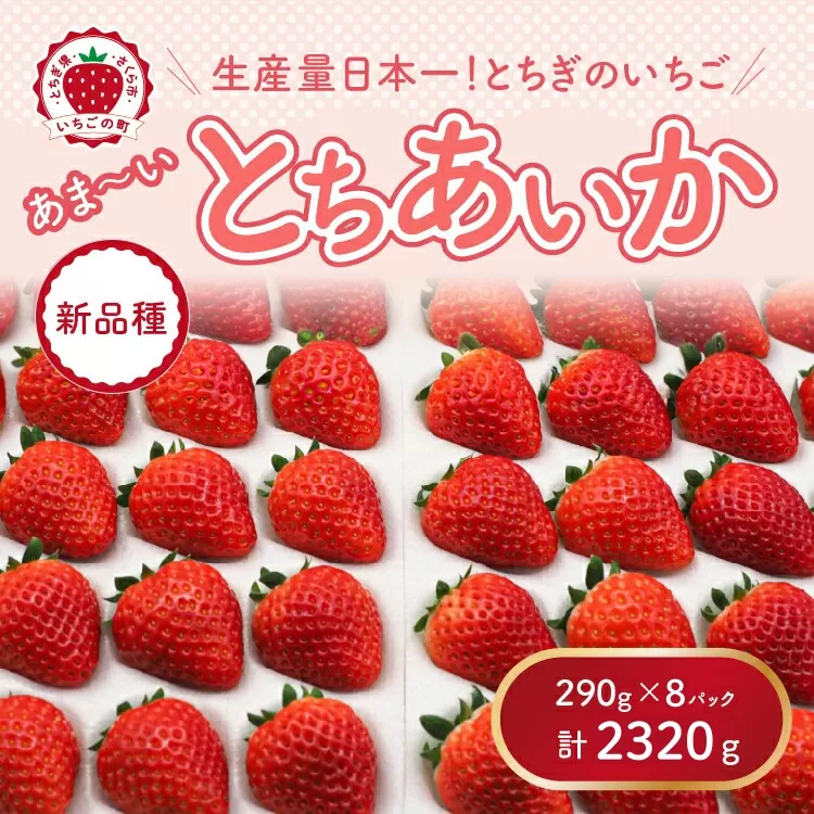 【先行予約】【数量限定】とちあいか 290g×8パック｜いちご イチゴ 苺 先行予約 栃木県 果物 くだもの フルーツ とちあいか 新鮮 贈答 ギフト 食べ比べ 真空パック ※2025年11月上旬頃より順次発送予定