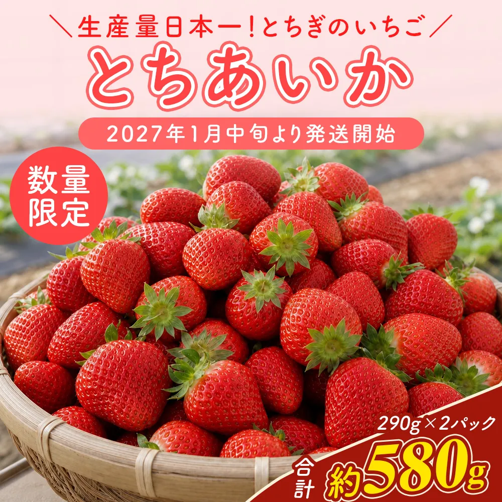 【先行予約】いちご 厳選!さくら市産 とちあいか(290g×2パック) ※2027年1月~発送