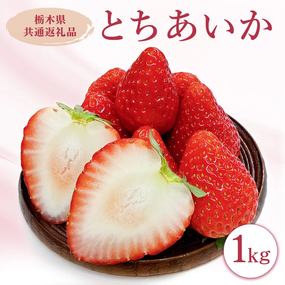 栃木県産とちあいか　1kg　イチゴ 苺 栃木県 果物 くだもの フルーツ スイーツ ギフト｜栃木県共通返礼品 栃木県産 ※2027年1月〜発送