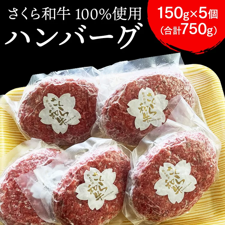 ハンバーグ 150g×5個（合計750g）栃木県産 さくら和牛100% 冷凍 牛肉 牛 ビーフ 冷凍ハンバーグ 個別 真空 ギフト