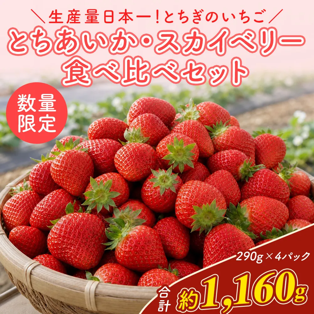 《数量限定》いちご厳選！さくら市産 とちあいか・スカイベリー食べ比べセット（290g×4パック） ｜ 先行予約 栃木県 果物 くだもの フルーツ 苺 イチゴ ※2027年1月～発送