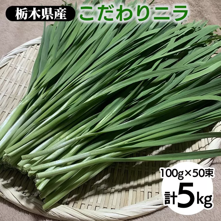 栃木県産こだわりニラ100g×50束 ｜ さくら市 にら 韮 野菜 国産