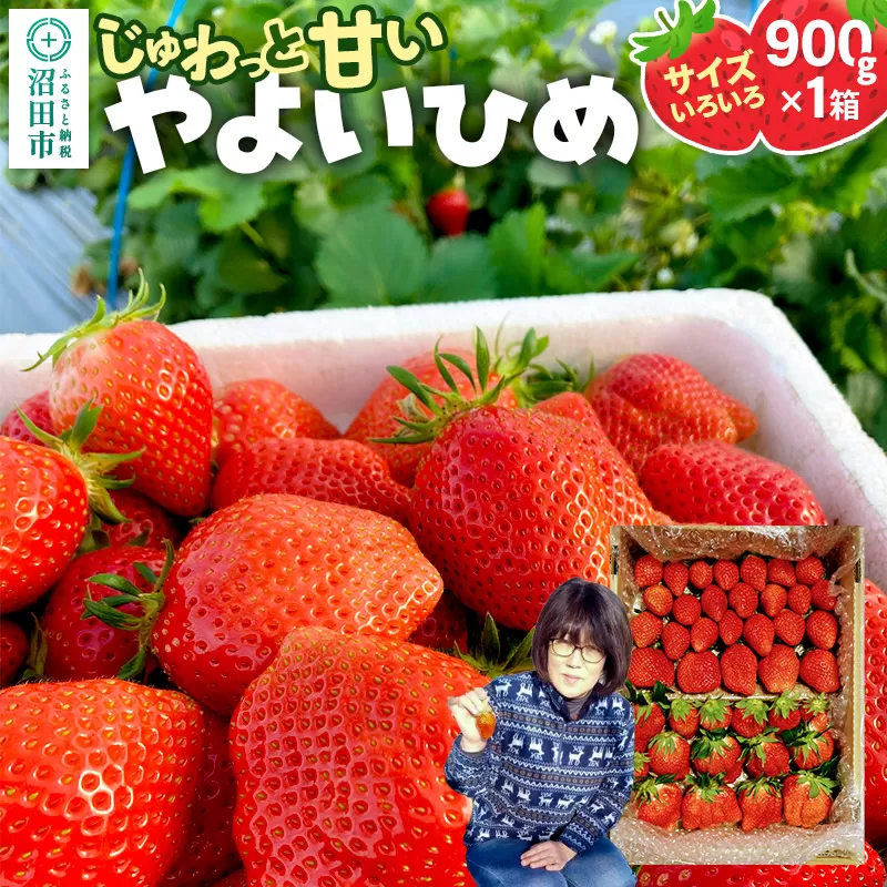 じゅわっと甘い！サイズいろいろ「やよいひめ」約900g（1箱／梱包込）山口いちご園