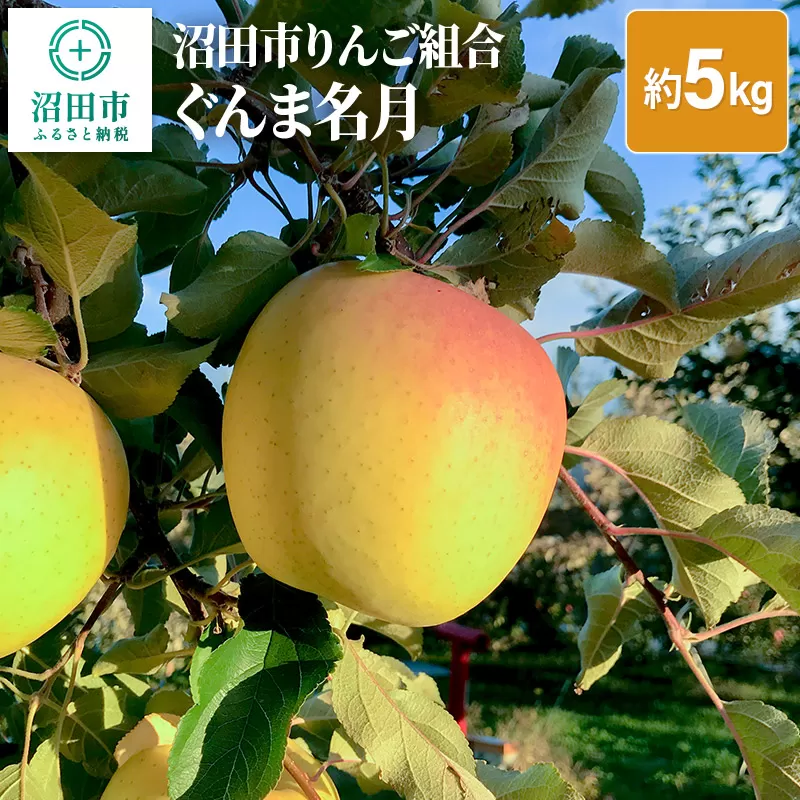 沼田市りんご組合 りんご（ぐんま名月）約5kg 群馬県沼田市