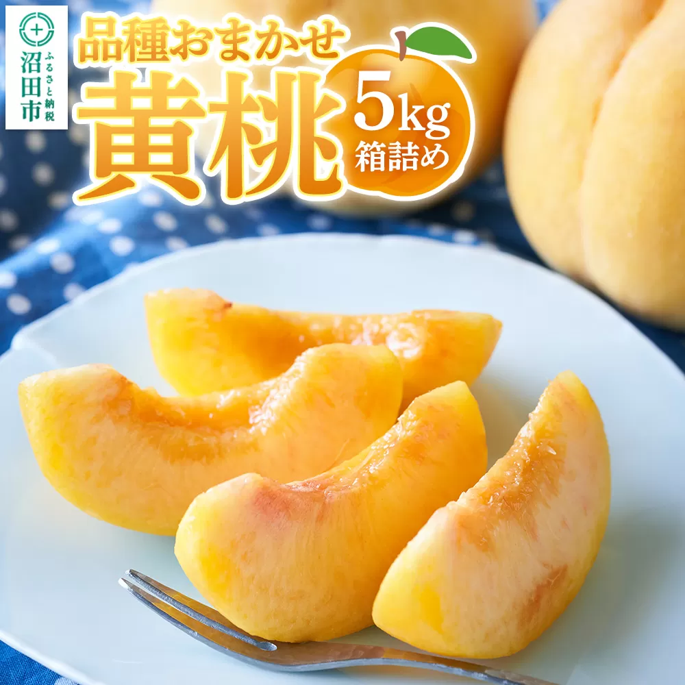 《8月下旬〜9月上旬発送》品種おまかせ黄桃 5kg箱