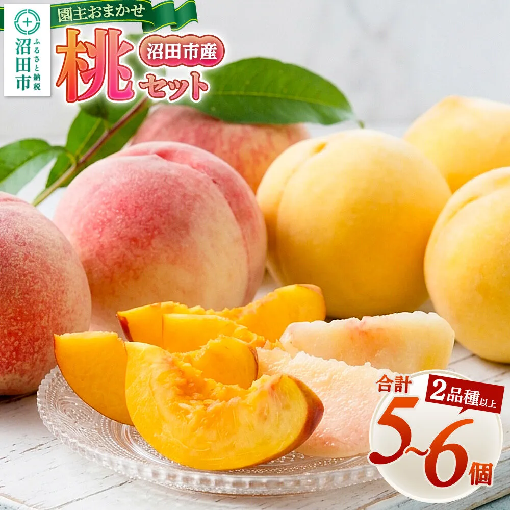 園主おまかせ桃セット（5〜6個）詰め合わせ フルーツ王国松井 [夏の味覚 夏の果物 夏のフルーツ 桃 もも モモ momo 旬物 ぴーち ピーチ peach お任せ おまかせ セット] 群馬県沼田市